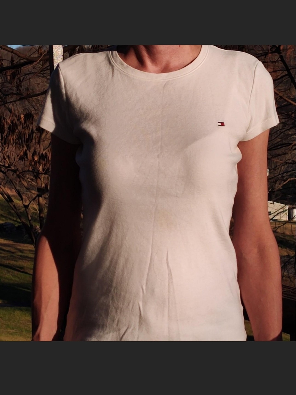Tommy Hilfiger Cream Short-Sleeve Crewneck Tee with Flag Logo